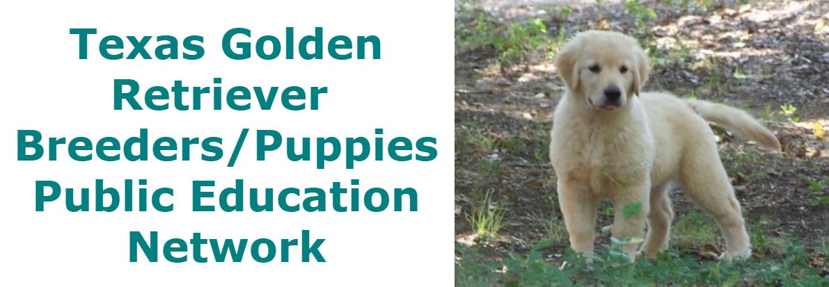 Texas Golden Retriever  Breeders Public Education Network