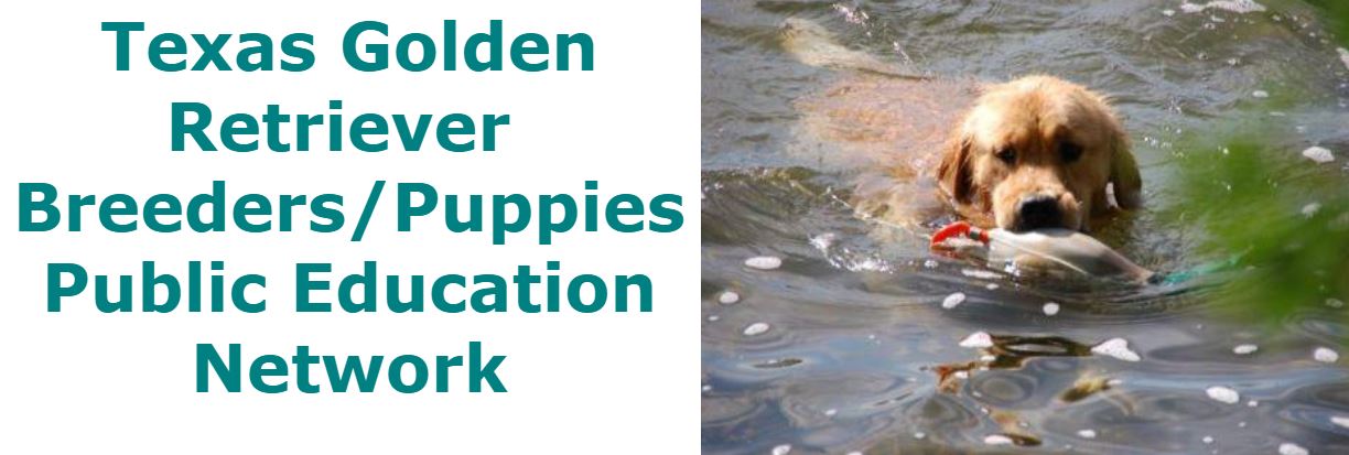 Texas Golden Retriever  Breeders Public Education Network